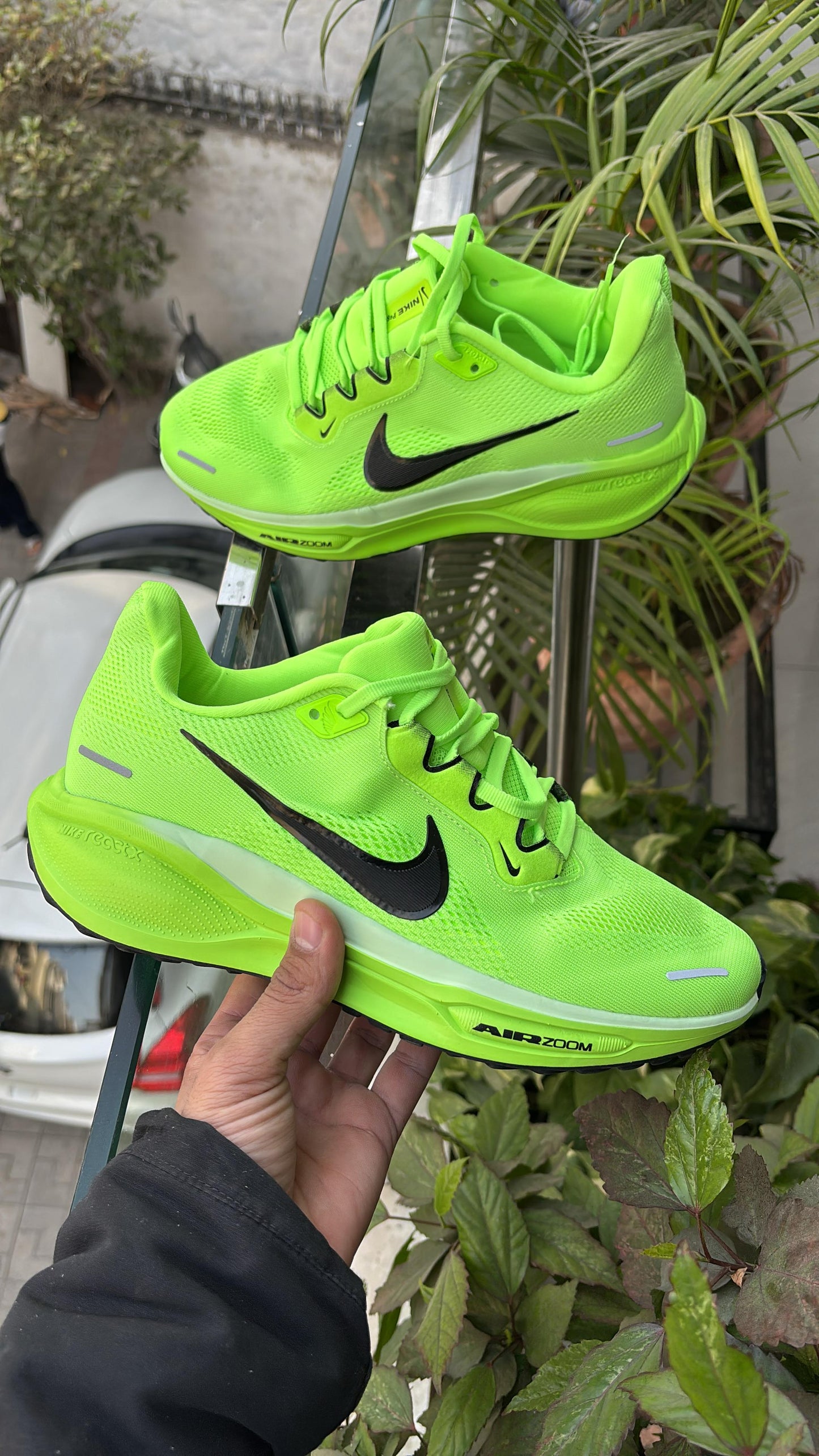 Nike zoom Pegasus