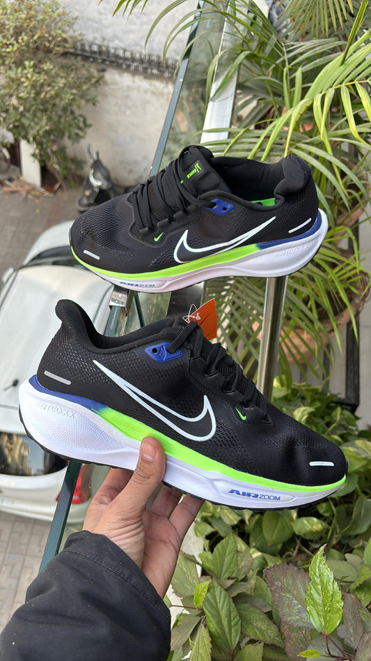 Nike zoom Pegasus