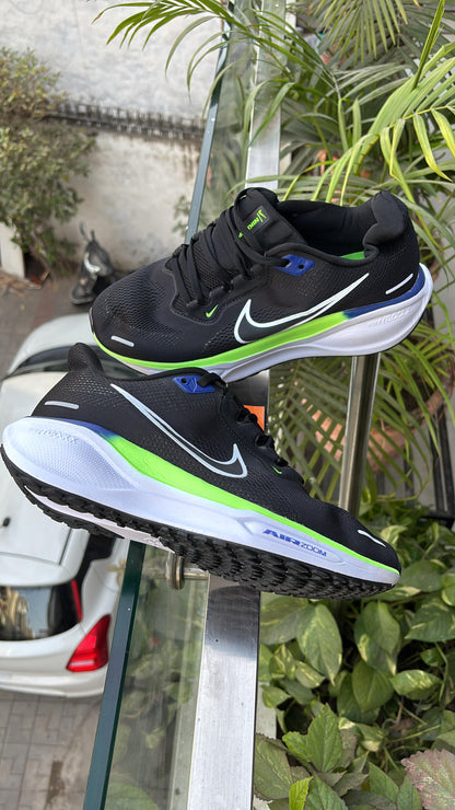 Nike zoom Pegasus