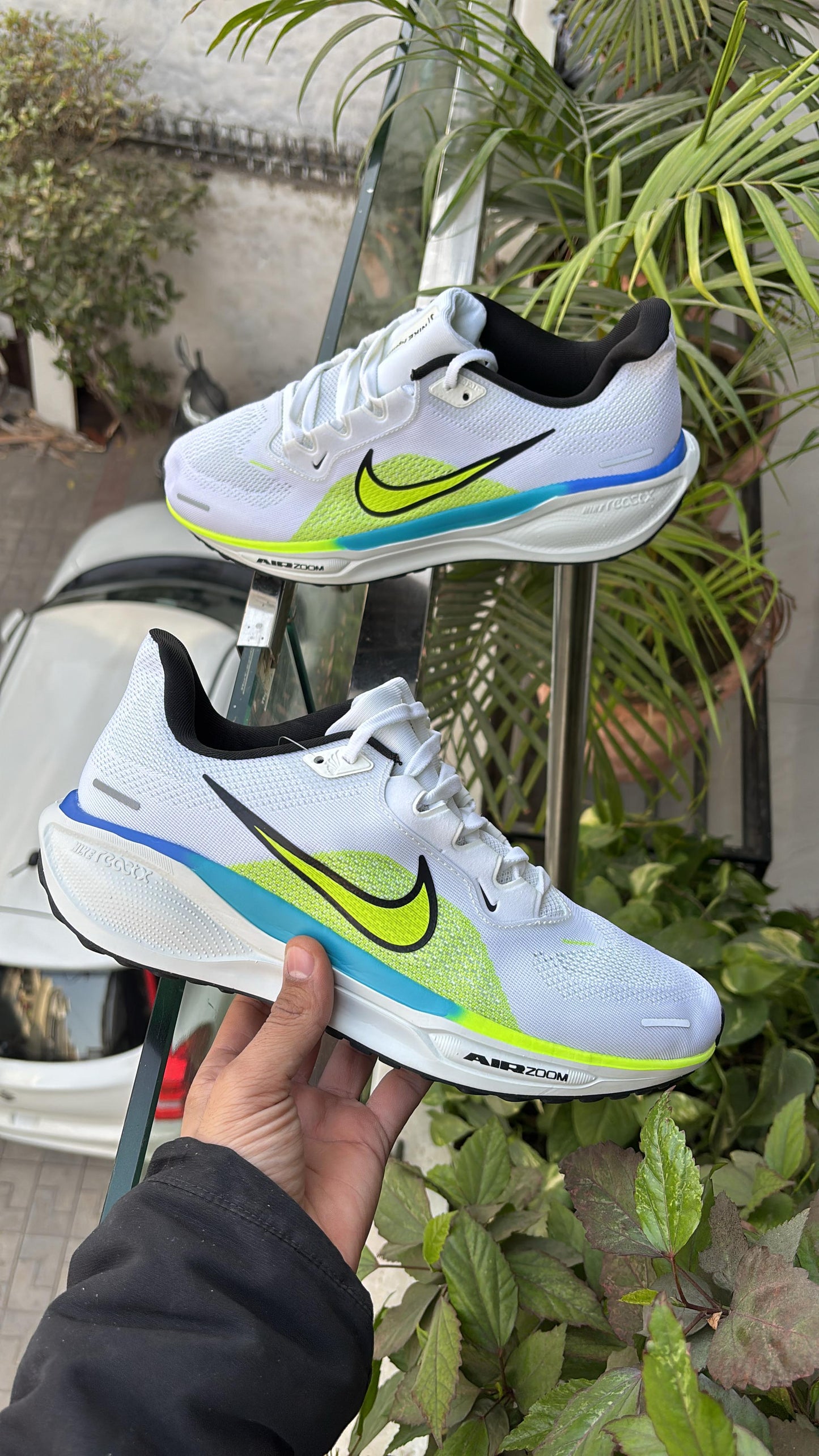 Nike zoom Pegasus