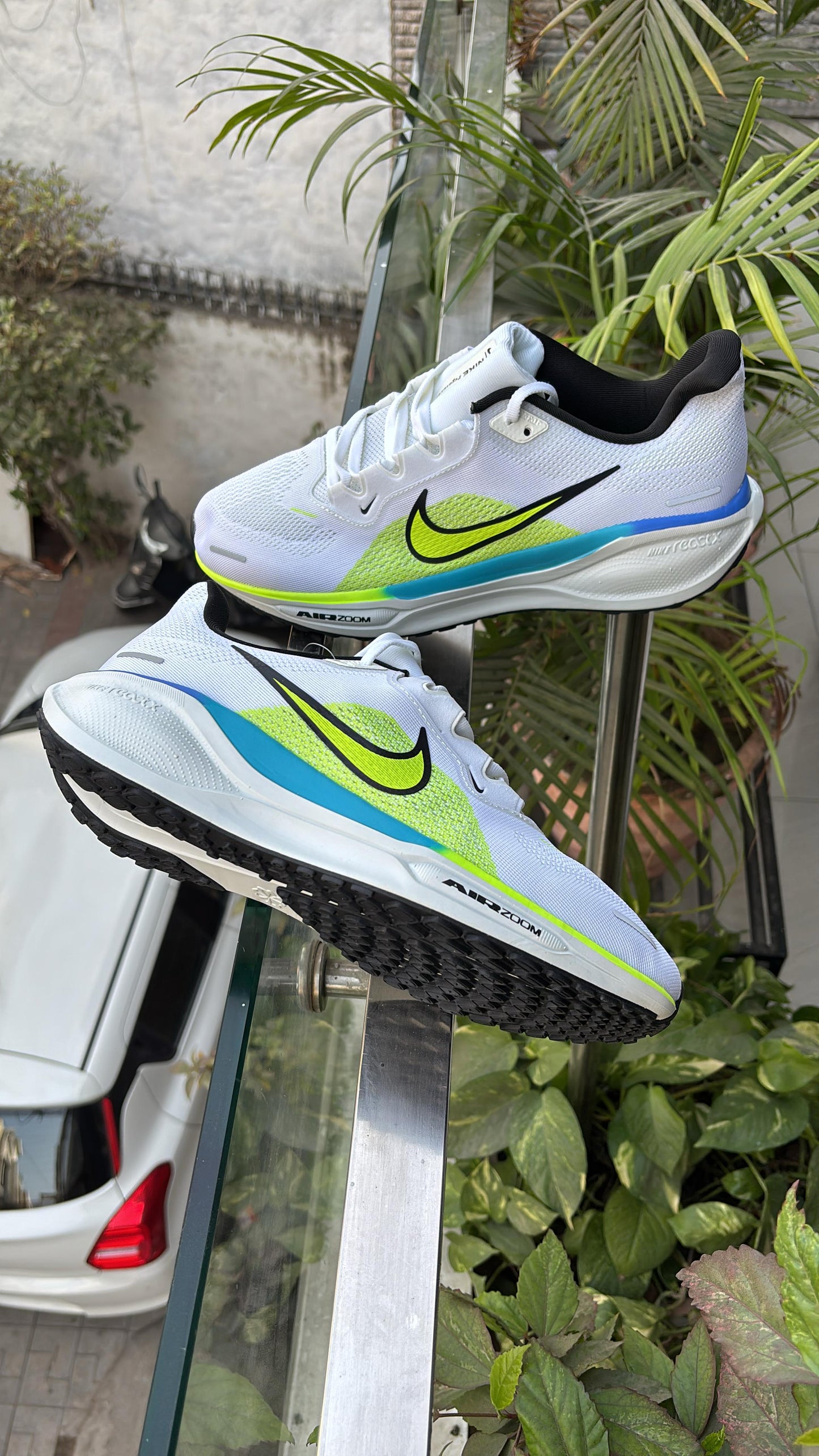 Nike zoom Pegasus
