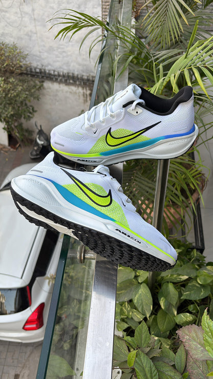 Nike zoom Pegasus