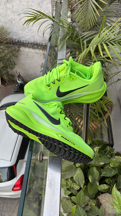 Nike zoom Pegasus