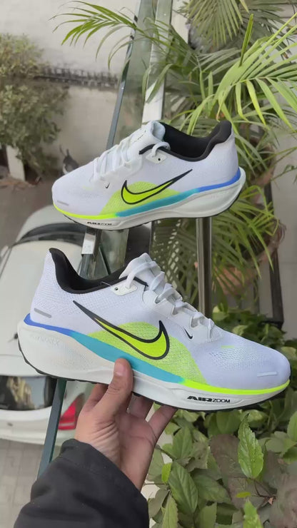 Nike zoom Pegasus